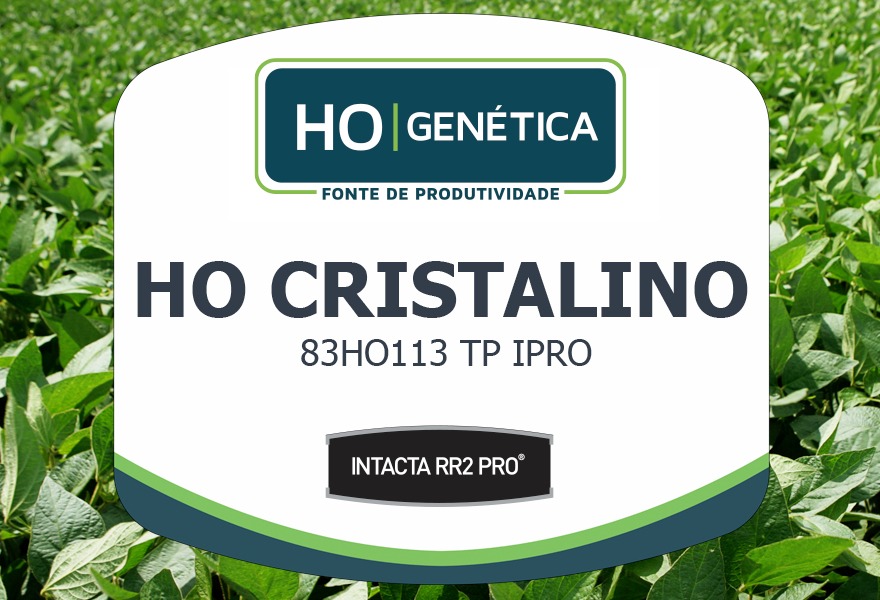 CRISTALINO 83HO113TP IPRO RO  - 0